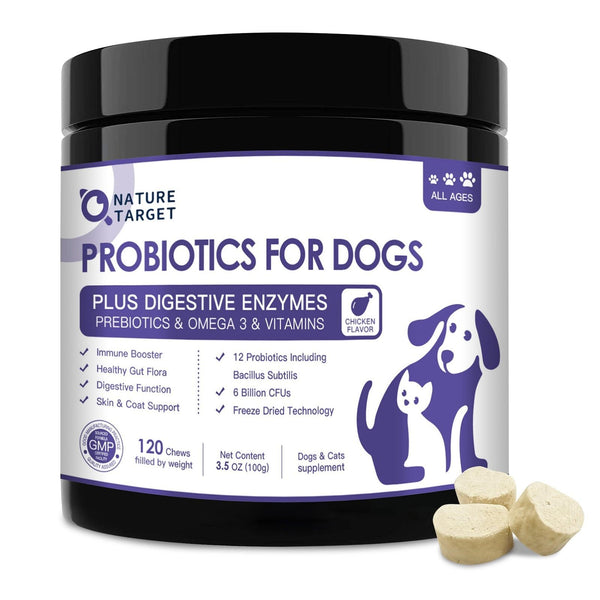 Top rated hotsell probiotics for dogs