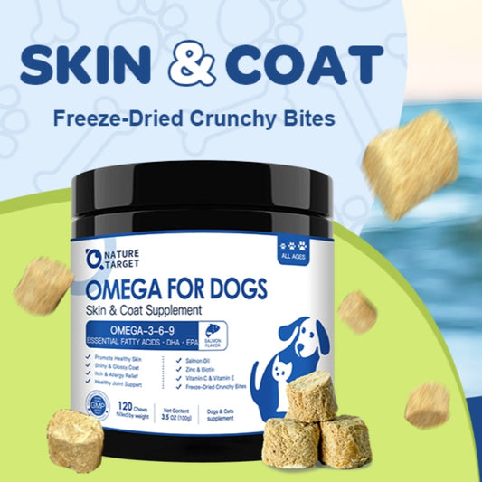 The Complete Guide to Fish Oil for Dogs: Benefits, Dosage, and Potential Risks