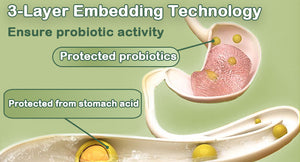 3-Layer-Embedding-Technology