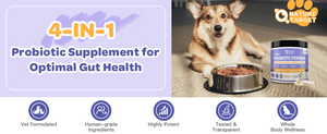 4-in-1 probiotics for dogs and cats to support gut health.