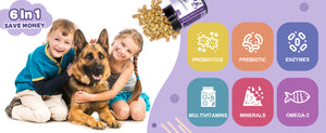 6-in-1 probiotics for dogs and cats.