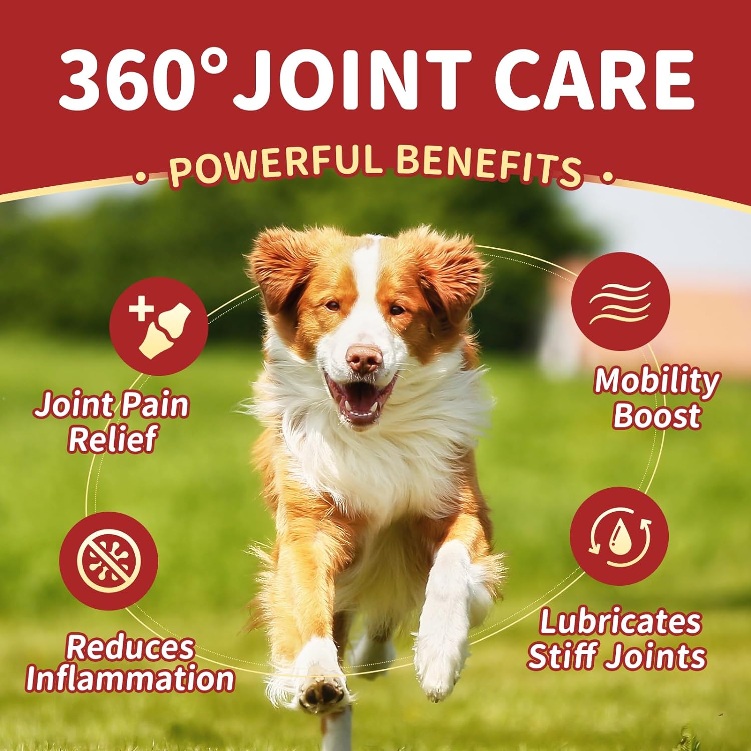 Glucosamine Chews Supplement for Pet Dog, with Joint Health