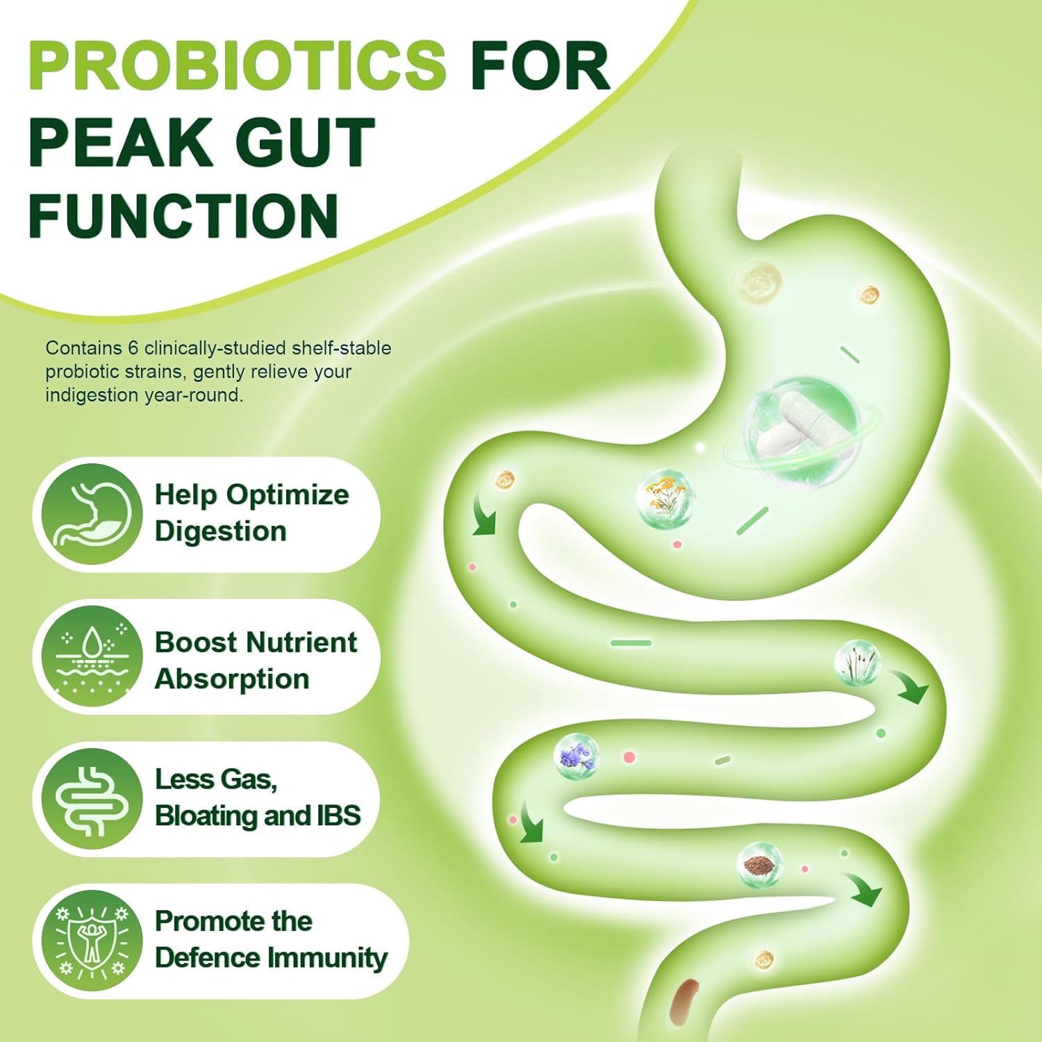 Probiotics For Peak Gut Function