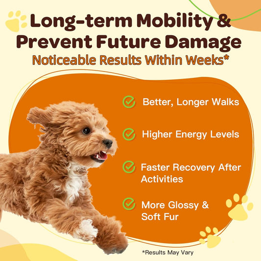 The benefits of Glucosamine Joint Supplement for Dogs & Cats.