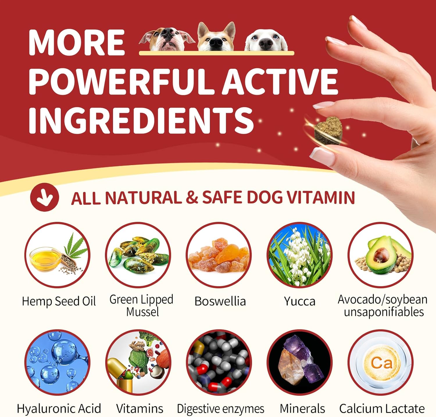 Glucosamine chewable tablets for dogs with more powerful active ingredients