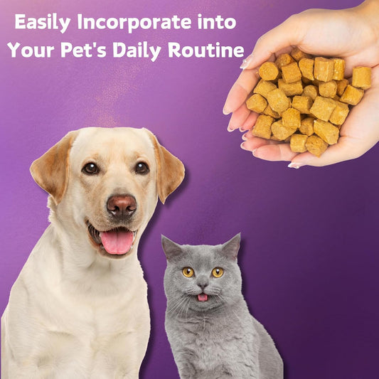 Probiotics for Dogs & Cats