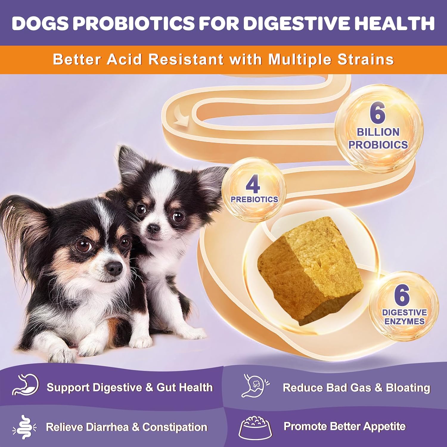 Probiotics for dogs & cats support digestive health.