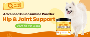 Advanced Glucosamine Powder supports hip and joint health in dogs and cats