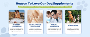 Advantages-of-Tature-Target-Fish-Oil-for-Dogs-Cats