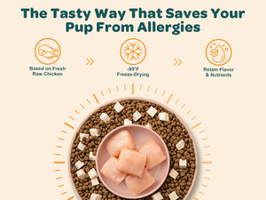 Allergy chews for dogs and cats made with freeze-drying technology.