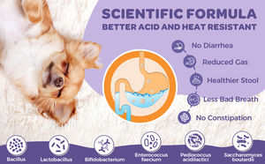 BETTER ACID AND HEAT RESISTANT Probiotics + Prebiotics + Digestive Enzymes + Omega 3 for Pet Dogs