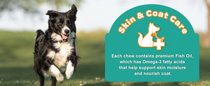 Benefits skin and coat health for dogs and cats.