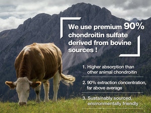 Bovine-Chondroitin-Sulphate-MSM