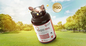 CoQ10 Softgels Supplement, Included PQQ