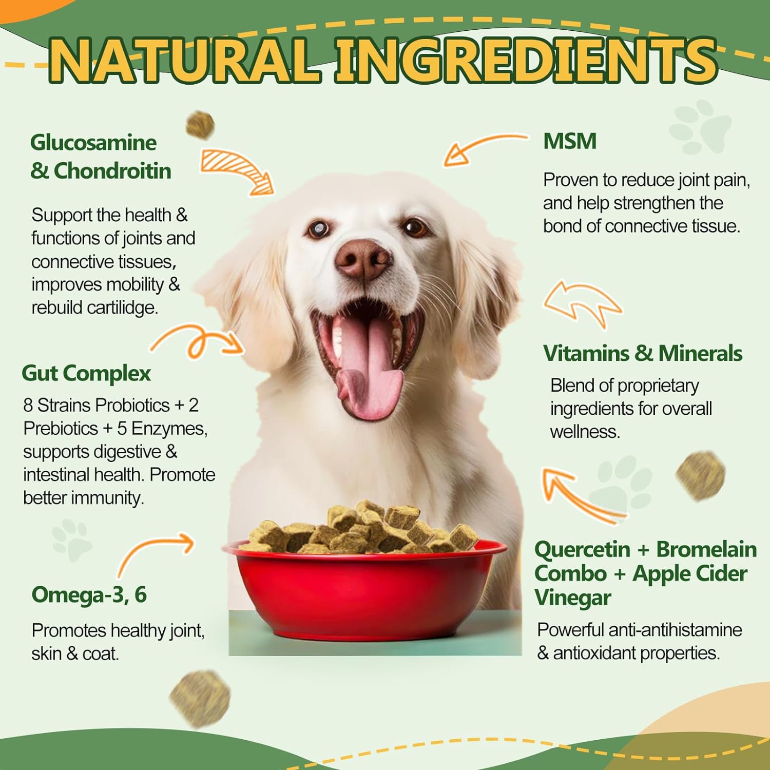 Nature Target Dog Multivitamin Supplement natural ingredients