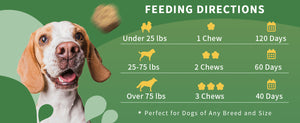 Feeding-instructions-for-multivitamins-for-dogs-and-cats