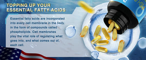 Fish-Oil-Supplements-Softgels-contain-essential-fatty-acids