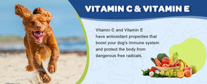 Fish-Oil-for-Dogs-with-Vitamin-C-Vitamin-E