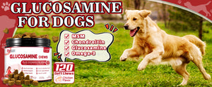 Glucosamine Chews Supplement for Dog & Cat