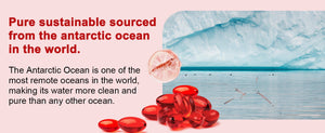 Krill-oil-from-Antarctica