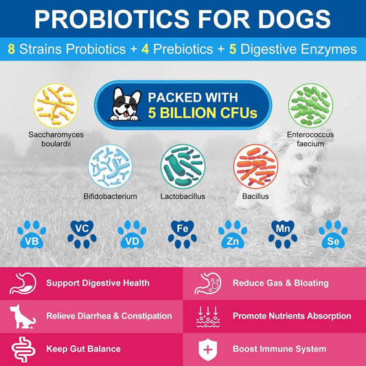 PROBIOTICS FOR Dog & Cat