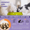 Healthy and Fresh Probiotics for Dogs & Cats