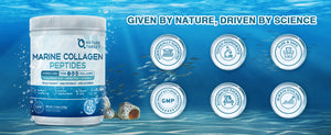 Natural-and-scientific-marine-collagen-peptides