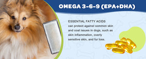 Omega-3-6-9-for-Dogs-Cats