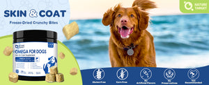 Omega-3-Fish-Oil-for-Dogs-Cats