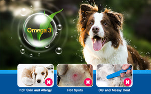 Omega-3-for-Skin-and-Coat-Health-in-Dogs-Cats