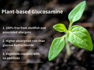 Plant-based Glucosamine