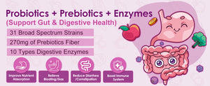 Probiotics-Prebiotics-Digestive-Enzymes-support-gut-and-digestive-health