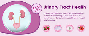 Probiotics for Urinary Tract Health