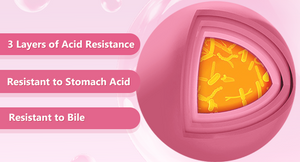 Probiotics-for-digestive-health-use-a-3-layer-acid-resistant-technology