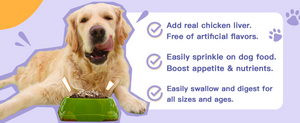 Probiotics for dogs and cats, free of artificial flavors and easy to swallow.