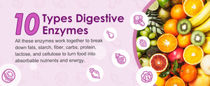 Probiotics-rich-in-10-digestive-enzymes