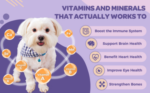 Probiotics rich in vitamins and minerals for dogs and cats.