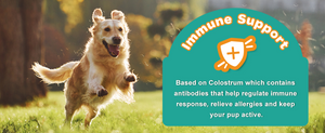 Provides immune support for dogs and cats