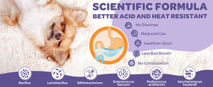 Scientific formula beneficial for the gut health of dogs and cats.