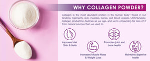 The-advantages-of-hydrolyzed-collagen-powder