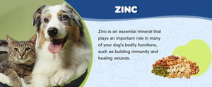 The-benefits-of-zinc-for-dogs-and-cats