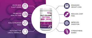 The-effects-of-collagen-peptides