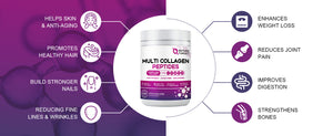 The-function-of-collagen-peptides