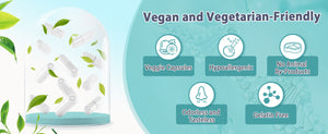 Vegan-and-Vegetarian-Friendly